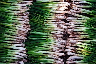 Calcots