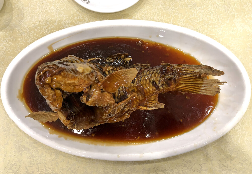 Zeng Beng Carp